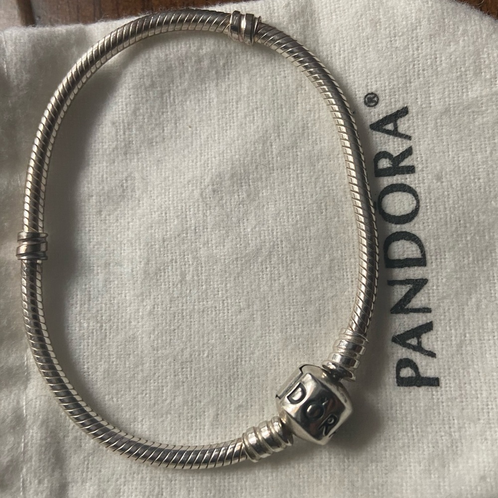 Standard Pandora Bracelet